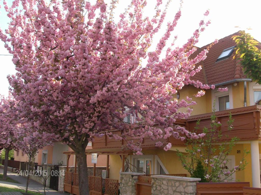 Hotel Zsuzsanna Ház Hévíz Exterior foto